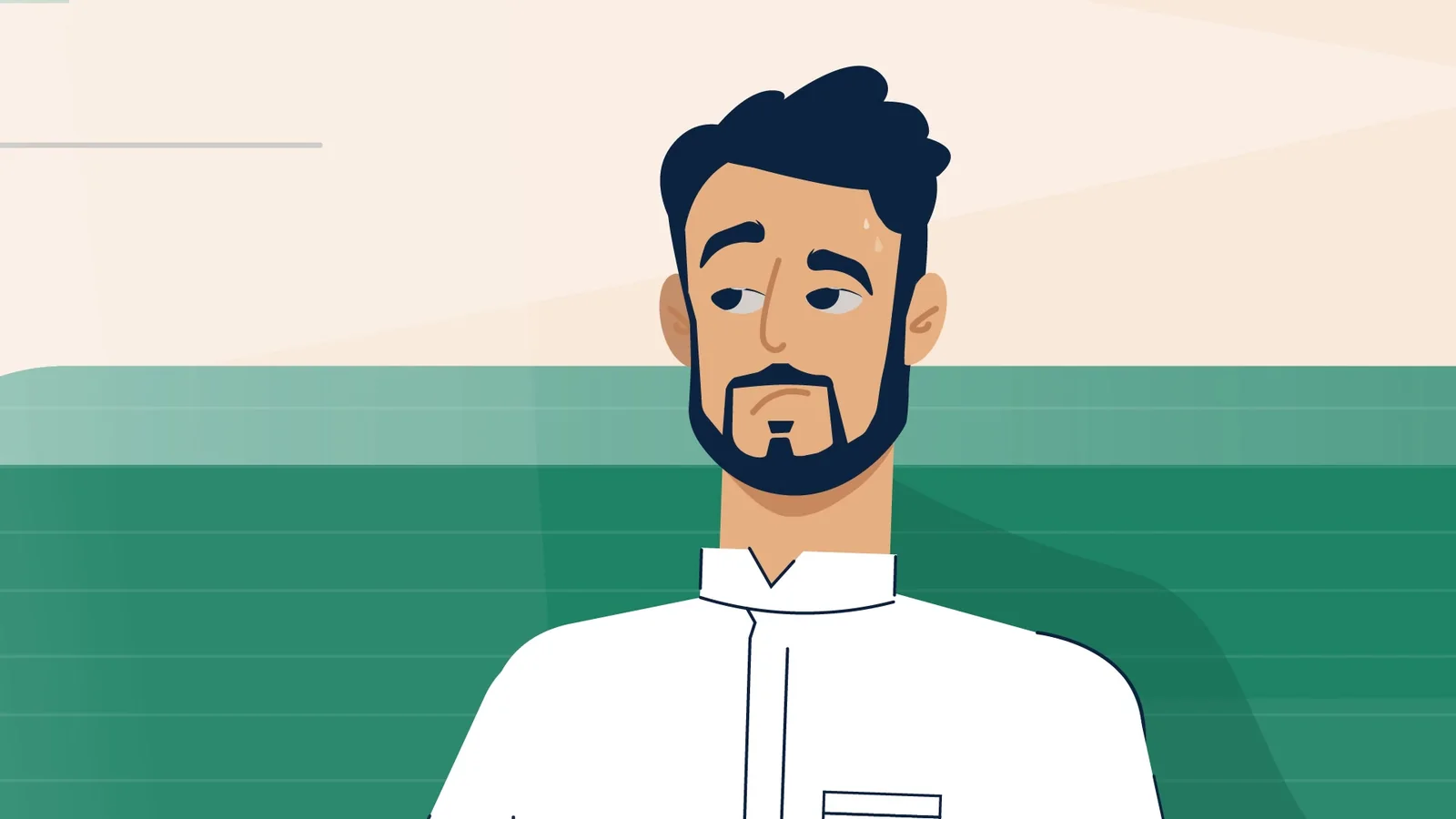 NDMC Sukuk Initiative — visual 2